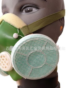 防尘口罩、喷漆防护口罩等劳保用品综合指南 价格、厂家与选购要点